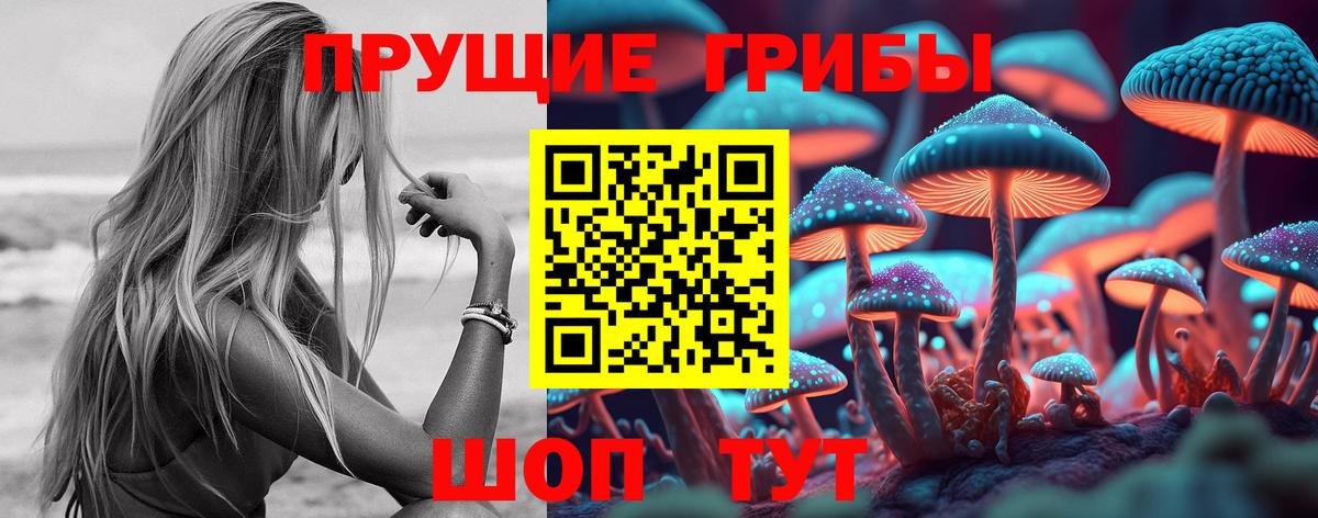 Псилоцибиновые грибы GOLDEN TEACHER  где купить наркоту  Октябрьский  Вход с VPN 