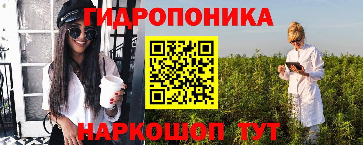 Бошки Шишки планчик  Вход с VPN  Бошки марихуана конопля  Октябрьский  Конопля семена 